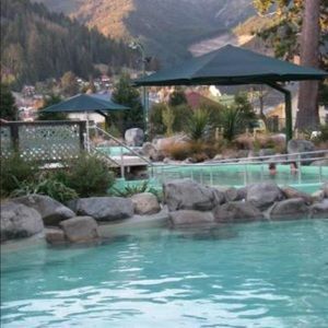 Meet your Posher, Curtis